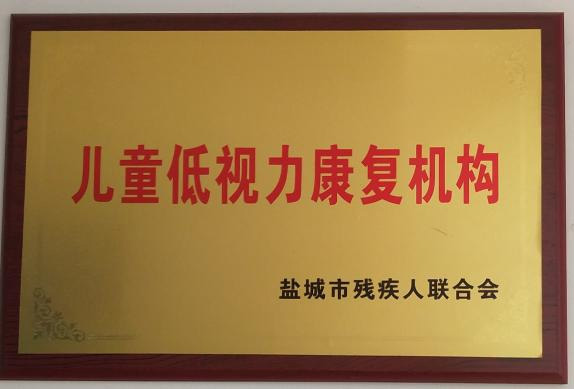 盐城市残联儿童低视力康复机构授牌